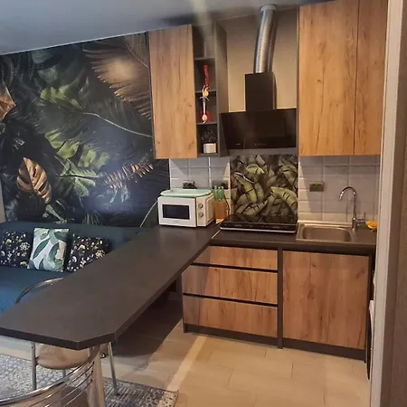 у сонячному закарпатті Apartamento Polyana (Transcarpathia)